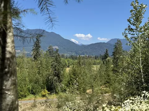 4 Skinner Rd, Randle, WA 98377