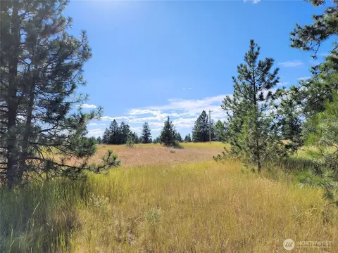 0 Bachelor Flats Dr N, Creston, WA 99117