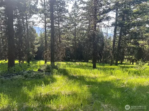 0 Tbd Janet Marie Rd, Tonasket, WA 98855