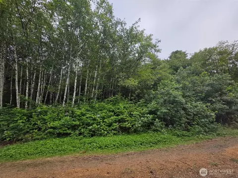 0 Viewcrest Rd, Copalis Beach, WA 98535