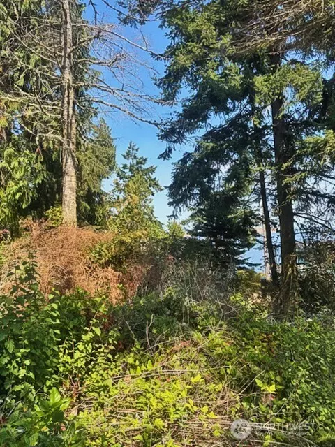 0 Spring View Park, Sequim, WA 98382 photo 10