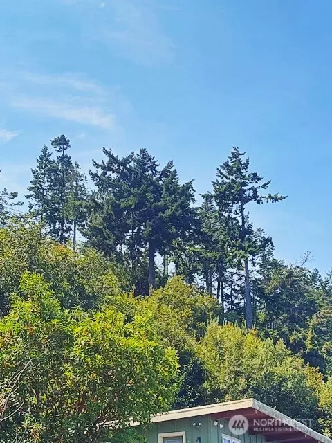 0 Spring View Park, Sequim, WA 98382 photo 21