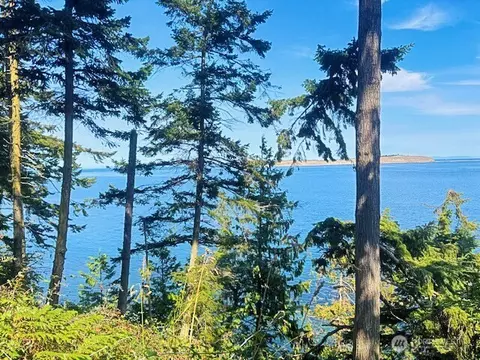 0 Spring View Park, Sequim, WA 98382 photo 3