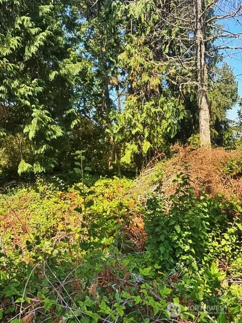 0 Spring View Park, Sequim, WA 98382 photo 9