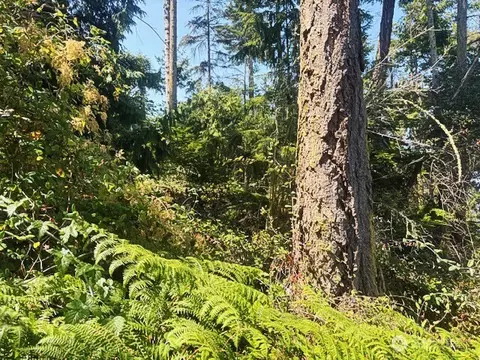 0 Spring View Park, Sequim, WA 98382 photo 4