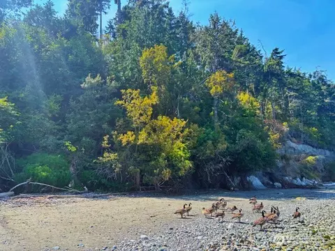 0 Spring View Park, Sequim, WA 98382 photo 16