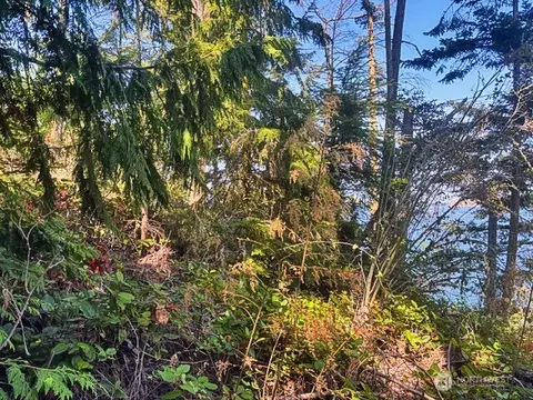 0 Spring View Park, Sequim, WA 98382 photo 8