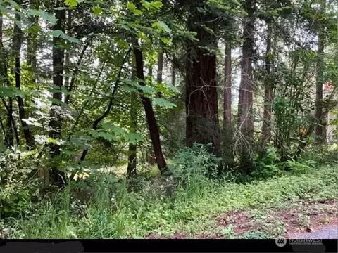 1148 Berry Way, Lummi Island, WA 98262