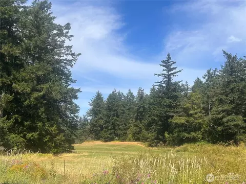 0 Hawkins Rd, Orcas Island, WA 98245 photo 5
