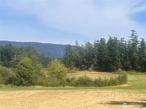 0 Hawkins Rd, Orcas Island, WA 98245 photo 4