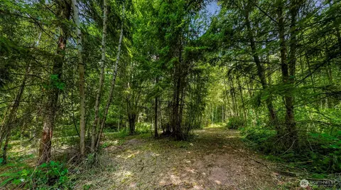 3900 Hopewell Rd, Everson, WA 98247 photo 13