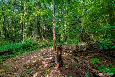 3900 Hopewell Rd, Everson, WA 98247 photo 17