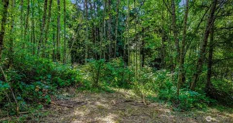 3900 Hopewell Rd, Everson, WA 98247 photo 11