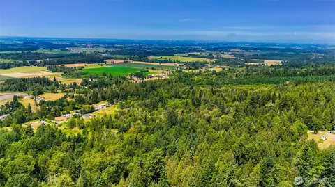 3900 Hopewell Rd, Everson, WA 98247 photo 20