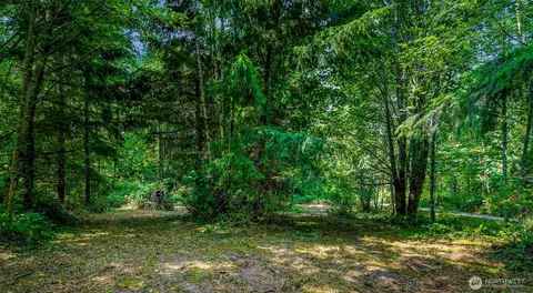 3900 Hopewell Rd, Everson, WA 98247 photo 10