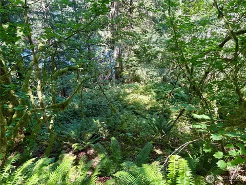 0 E Lake Walker Dr SE, Enumclaw, WA 98022 photo 15