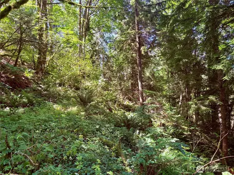 0 E Lake Walker Dr SE, Enumclaw, WA 98022 photo 20