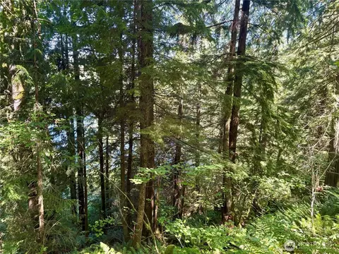 0 E Lake Walker Dr SE, Enumclaw, WA 98022 photo 16