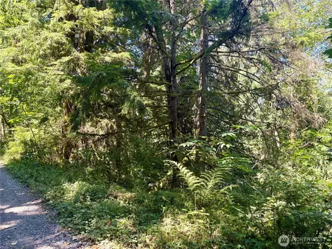 0 E Lake Walker Dr SE, Enumclaw, WA 98022 photo 11