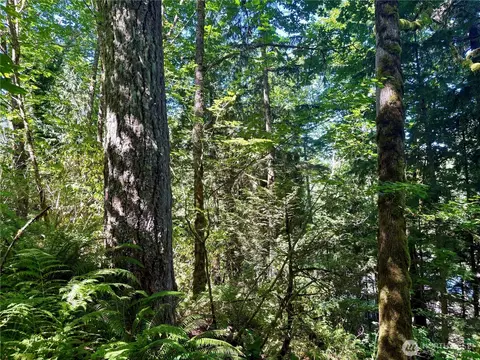 0 E Lake Walker Dr SE, Enumclaw, WA 98022 photo 12