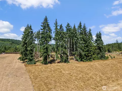 0 Frogner Rd #2, Chehalis, WA 98532 photo 9
