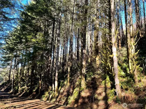 400 Nn Short Rd, Morton, WA 98356