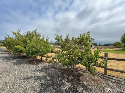 Exterior - 80 Cherrywood Pl, Sequim, WA 98382 photo 8 of 8