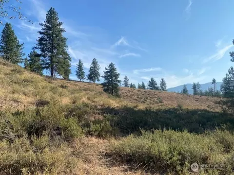 0 Nnn Tbd, Winthrop, WA 98862