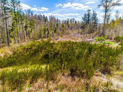 1 40th Ave S, Roy, WA 98580