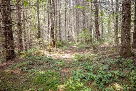 101 Wild Blackberry Ln, Port Angeles, WA 98363