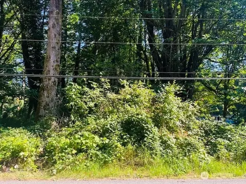 2 Lot Cape Horn Dr, Concrete, WA 98237