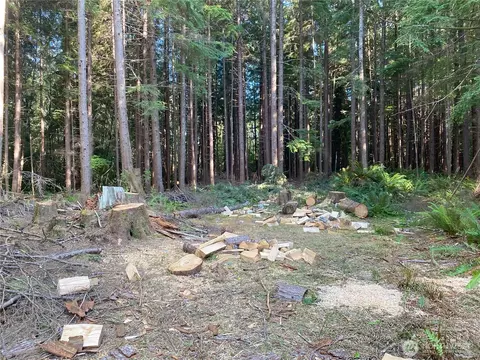0 Hwy 101 Frks, Forks, WA 98331