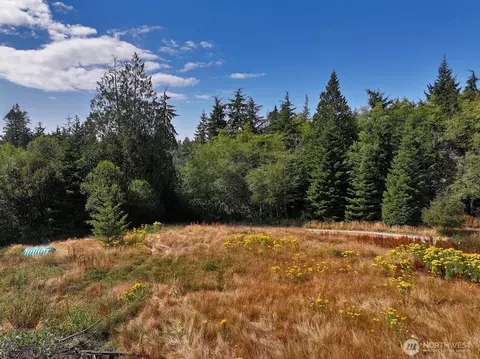 3849 E Harbor Rd, Langley, WA 98260 photo 15