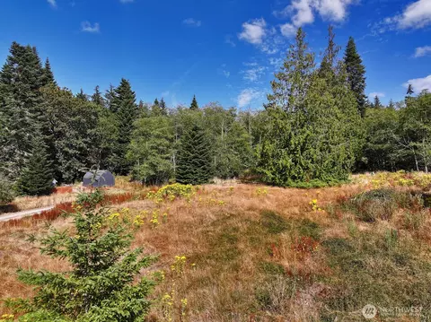 3849 E Harbor Rd, Langley, WA 98260 photo 6