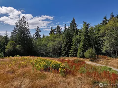 3849 E Harbor Rd, Langley, WA 98260 photo 8
