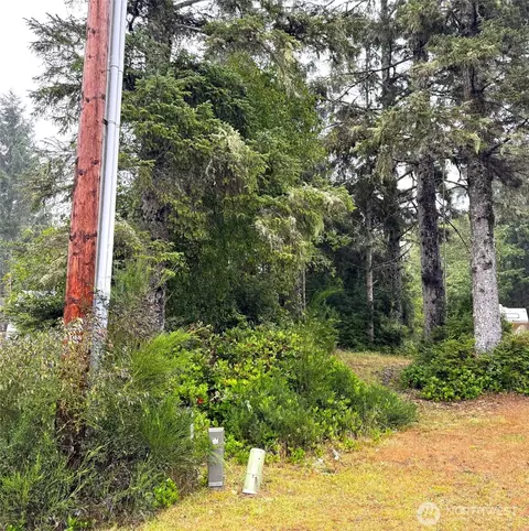 815 Scaup Ct SE, Ocean Shores, WA 98569