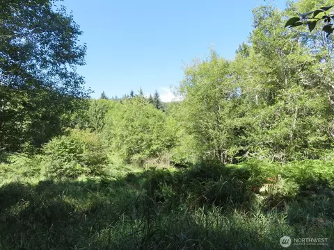 0 Salmon Creek Rd, Mossyrock, WA 98564
