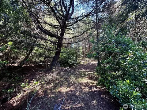 361 S Wynoochee Dr SW, Ocean Shores, WA 98569