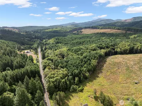 0 Pe Ell Mcdonald Rd, Pe Ell, WA 98572