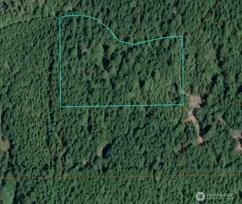 1741 NE Hahobas Dr, Tahuya, WA 98588