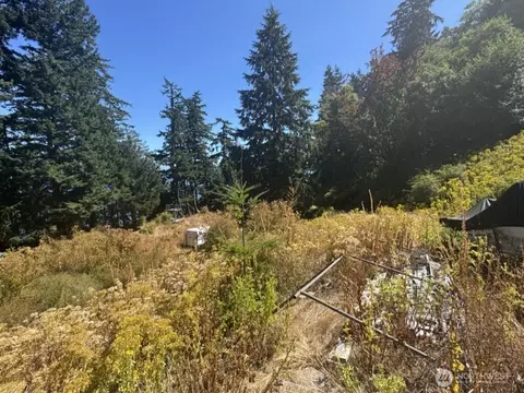 109 Coho Point Rd, Orcas Island, WA 98245 photo 5