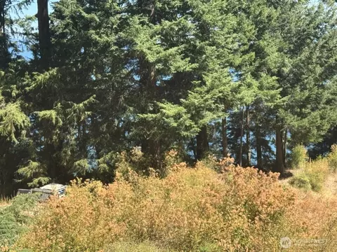 109 Coho Point Rd, Orcas Island, WA 98245 photo 3