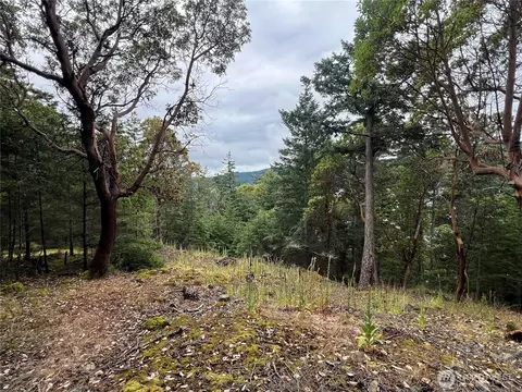0 Nnn Palisades Dr, Orcas Island, WA 98245