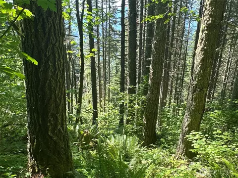 0 Hwy 12, Randle, WA 98336