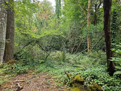 0 Nnnn Libby Rd NE, Olympia, WA 98506