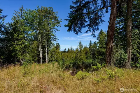 0 Nn Township Line Rd, Port Angeles, WA 98362