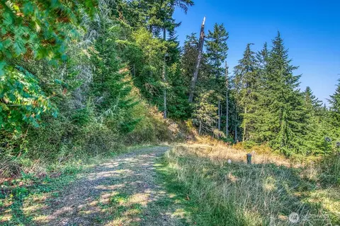 1637 Spring Hill Rd, Orcas Island, WA 98245 photo 24