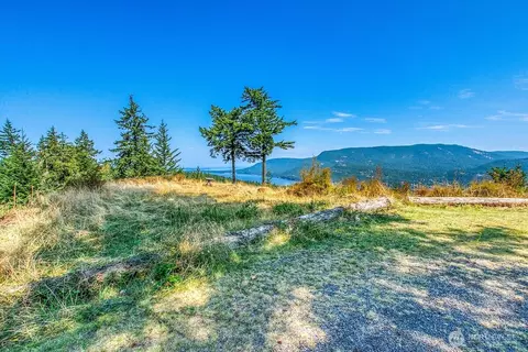 1637 Spring Hill Rd, Orcas Island, WA 98245 photo 18
