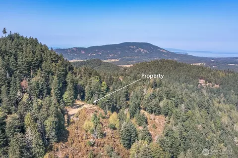 1637 Spring Hill Rd, Orcas Island, WA 98245 photo 9
