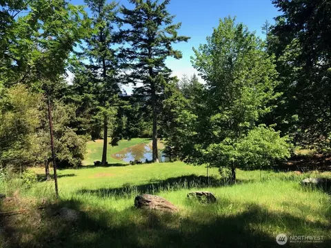 1637 Spring Hill Rd, Orcas Island, WA 98245 photo 16
